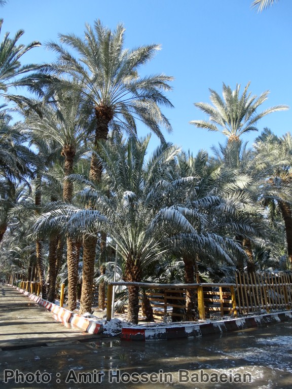 http://www.yazdfarda.com/media/news_gal/file_42600.jpeg