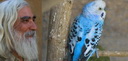 ایران من تو بمان. عشق هرگز نمی گیرد ایران من تو بمان. عشق هرگز نمی گیرد