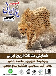 همایش استانی "یوز ایرانی"در اردکان برگزار می شود 