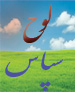 تقدیر استاندار یزد از شهردار میبد