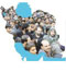 پاسخی کوتاه به يك پرسش مهم؟ (انتخابات مجلس هشتم 107) پاسخی کوتاه به يك پرسش مهم؟ (انتخابات مجلس هشتم 107)